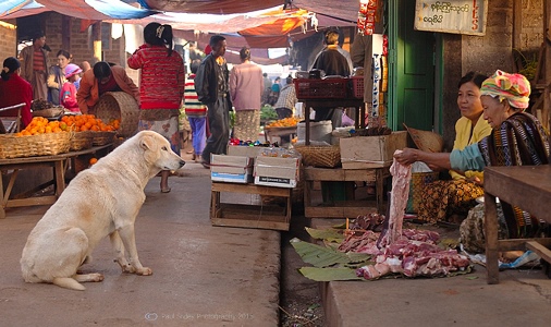 Photo Copyright Paul Sivley. May not be redistributed, resold, or displayed by any publication or person without written permission detailing exact usage.